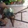 Inicio