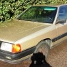 Pareja de ceniceros de Audi 100 - 22 e. Coche clásico