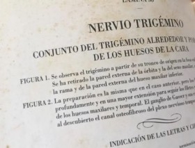 FACSÍMIL TRATADO LA ANATOMÍA DEL HOMBRE TRES TOMOS (Doctor Bourgery / N.H. Jacob)