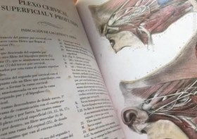 FACSÍMIL TRATADO LA ANATOMÍA DEL HOMBRE TRES TOMOS (Doctor Bourgery / N.H. Jacob)