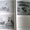 Libros - Revistas - Postales