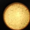 Microscopio eléctrico de 100x a 900x. Funcionando. Años 90