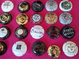 Colección de 24 placas de cava