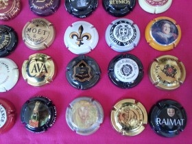 Colección de 24 placas de cava