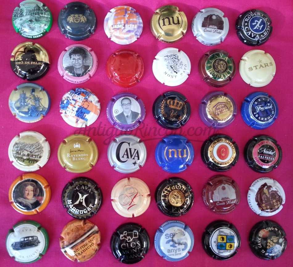 Colección de 24 placas de cava Colección de 24 placas de cava