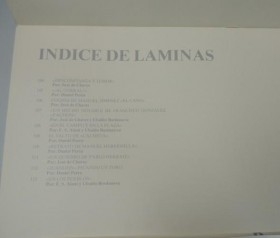 Litografías tauromaquia. Colección de 11 litos. LA LIDIA DE J. PALACIOS