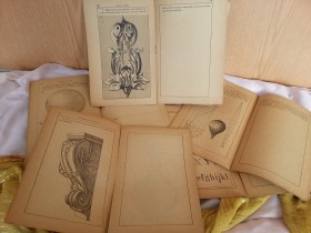 Cuadernos antiguos de escuela y libro clasif. animales año 1961