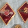 Insignias Coronel del Aire.