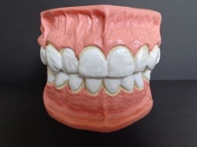 Modelo anatómico de conjunto de dientes. USO DIDÁCTICO.