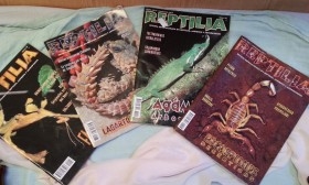 Revistas REPTILIA. 4 ejemplares años 2000-2.006. Buen estado general.