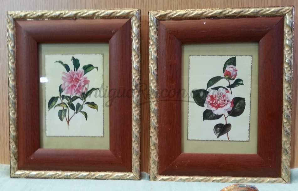 Cuadros con motivos florales. 2 Cuadros. Buen estado general. Cuadros con motivos florales. 2 Cuadros. Buen estado general.
