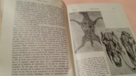 Libro. La eclosión del Renacimiento. Año 1967.