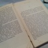 Novela antigua ESFINGE AMOROSA de los años 20