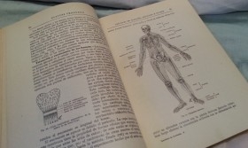 Libro LECCIONES DE ANATOMÍA del año 1930