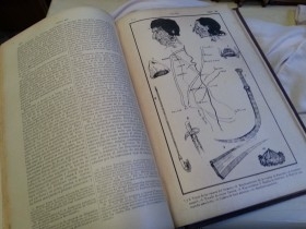 Enciclopedia Historia Universal. año 1900. 10 volúmenes. Buen estado general.