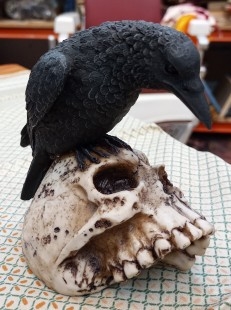 Cuervo negro gótico sobre calavera humana. Figura.