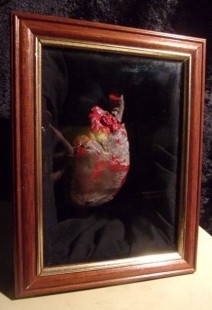 Corazón humano. Réplica. En vitrina. Artesanía realista.