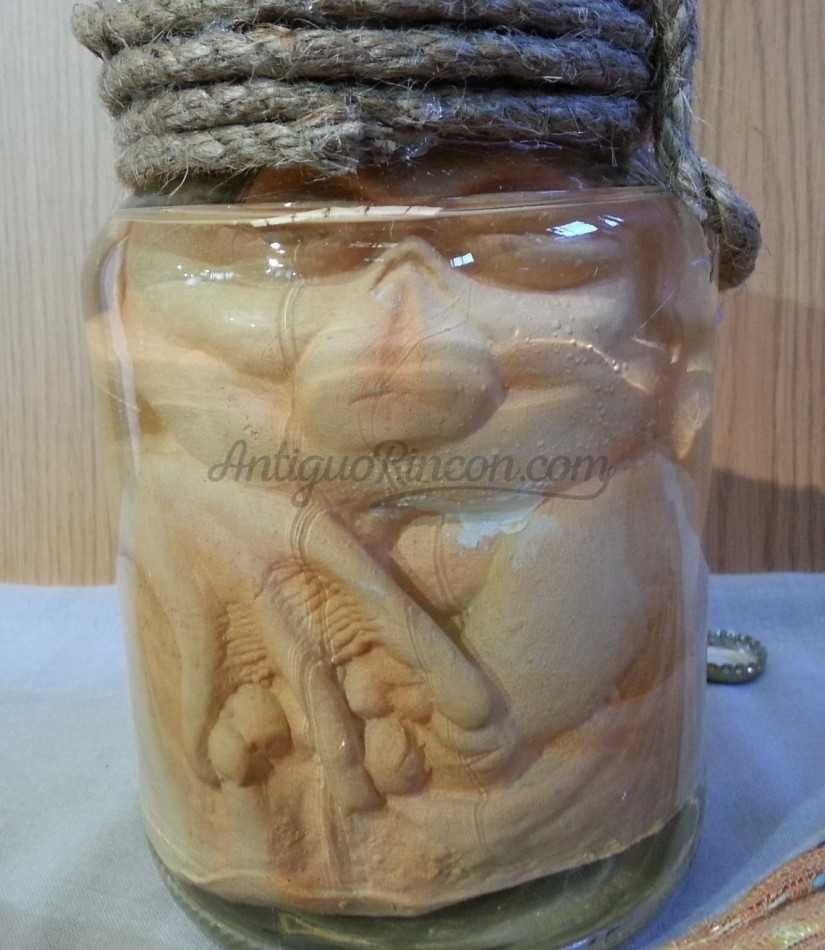 Alienígena peligroso. Réplica. Metido en tarro de vidrio con agua. Alienígena peligroso. Réplica. Metido en tarro de vidrio con agua.