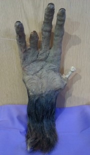 Mano cortada de Bigfoot. Réplica. Artesanía realista. Espectacular.