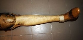 Pierna de madera. Pato de palo. Años 30-40. Prótesis original..