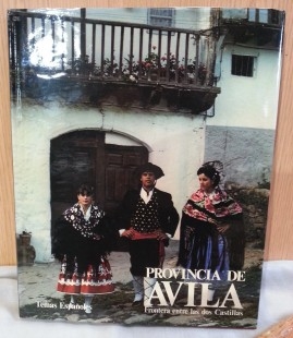 Libro PROVINCIA DE ÁVILA: FRONTERA ENTRE DOS CASTILLAS