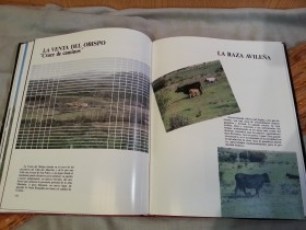 Libro PROVINCIA DE ÁVILA: FRONTERA ENTRE DOS CASTILLAS