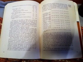 Libro Banco de Bilbao. Informe Económico. Año 1962