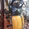 Escarabajo gigante en vitrina de exposición. Escarabajo de 5 cuernos. Mide la vitrina casi 2 m de altura.
