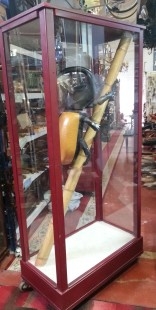 Escarabajo gigante en vitrina de exposición. Escarabajo de 5 cuernos. Mide la vitrina casi 2 m de altura.