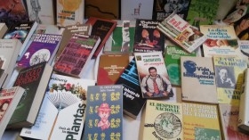 Libros variados. Colección de 50 unid.