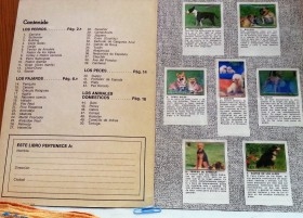 Álbum de cromos ANIMALES. Incompleto. Años 70