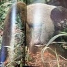 Enciclopedia EL MUNDO DE LOS ANIMALES Y SU MEDIO AMBIENTE. Año 1993