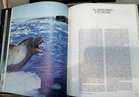 Enciclopedia EL MUNDO DE LOS ANIMALES Y SU MEDIO AMBIENTE. Año 1993