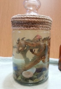 Dragón bebé chino. Preciosa réplica de dragón en tarro de vidrio con agua. Encordado y precintado.