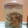Dragón bebé chino. Preciosa réplica de dragón en tarro de vidrio con agua. Encordado y precintado.