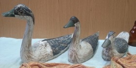 Patos señuelo. En madera policromada. Antiguos. Años 60-70