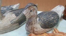 Patos señuelo. En madera policromada. Antiguos. Años 60-70