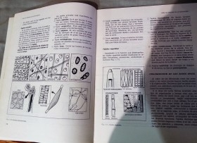 Libro CURSO Graduado Escolar CEAC. Año 1978