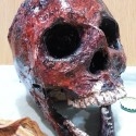 Cabeza sangrante. Réplica de cabeza en descomposición. Obra artesanal.