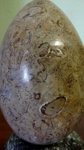 Huevos pulidos artesanalmente de moluscos y crustáceos fósiles. Pareja.5