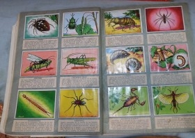 Album de cromos HISTORIA NATURAL. AÑOS 60- 70. COMPLETO. DOS UNIDADES