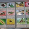 Album de cromos HISTORIA NATURAL. AÑOS 60- 70. COMPLETO. DOS UNIDADES