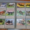 Album de cromos HISTORIA NATURAL. AÑOS 60- 70. COMPLETO. DOS UNIDADES