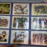 Album de cromos NATURAMA. AÑOS 60- 70. COMPLETO.