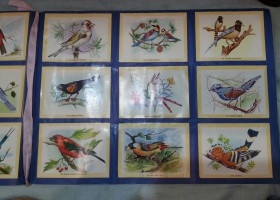 Album de cromos NATURAMA. AÑOS 60- 70. COMPLETO.