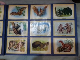 Album de cromos NATURAMA. AÑOS 60- 70. COMPLETO.