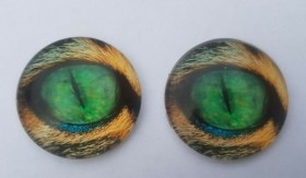 Ojos de animales para taxidermia o manualidades. 3 cm de diámetro. Pareja.