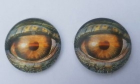 Ojos de animales para taxidermia o manualidades. 3 cm de diámetro. Pareja.