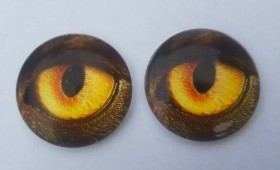 Ojos de animales para taxidermia o manualidades. 3 cm de diámetro. Pareja.