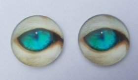 Ojos de animales para taxidermia o manualidades. 3 cm de diámetro. Pareja.